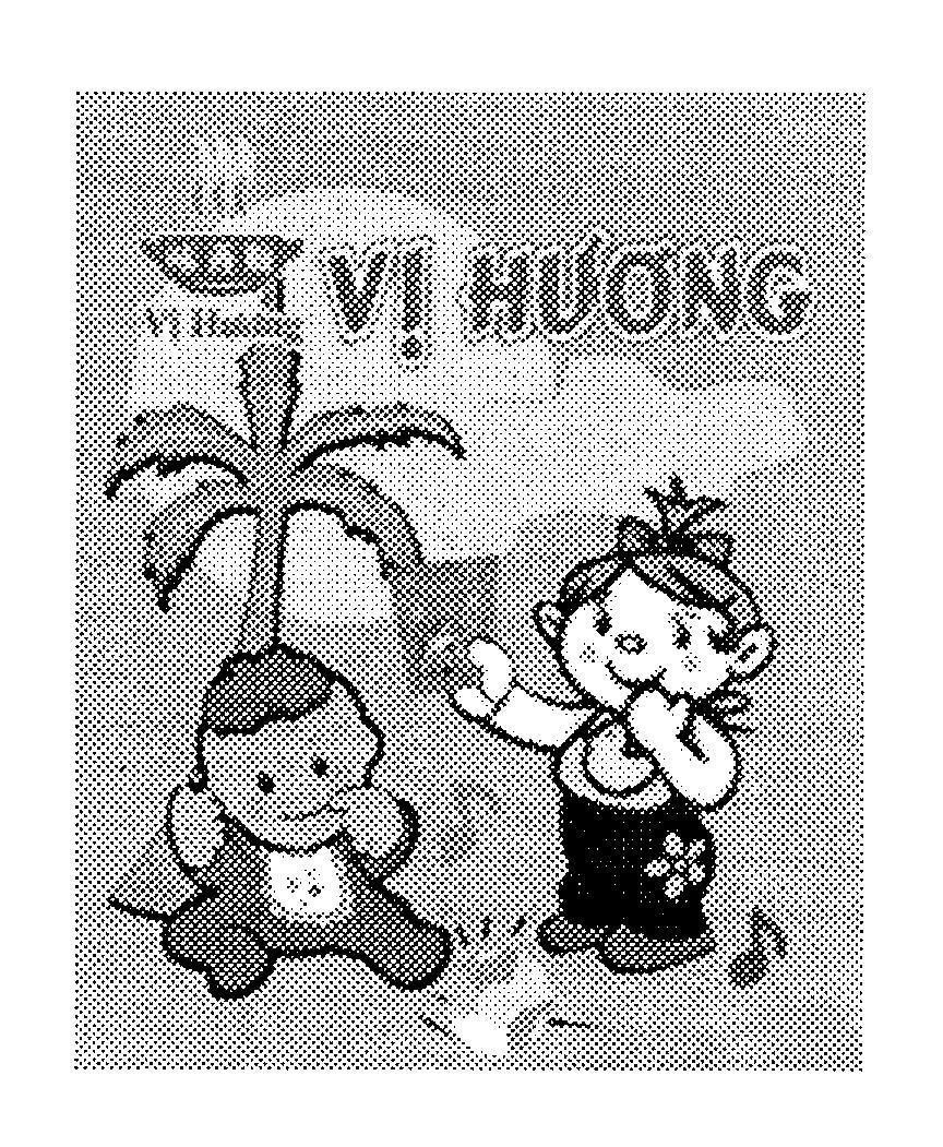 Mẫu nhãn hiệu VI HUONG