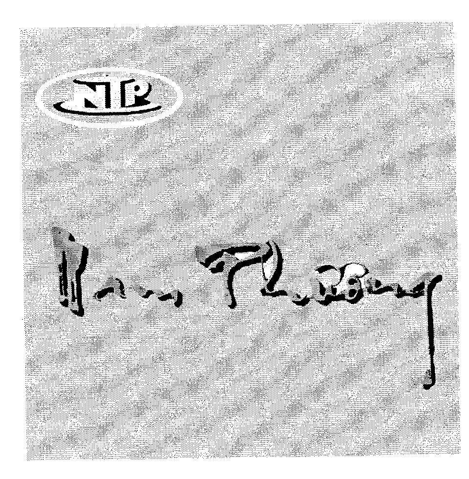 Mẫu nhãn hiệu NTP Nam Phương