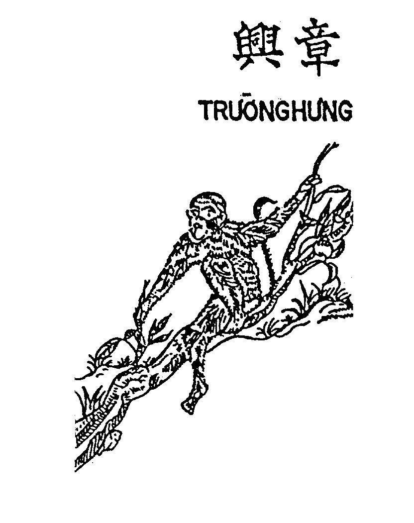 Mẫu nhãn hiệu Trường Hưng XING XING HANH HUNG