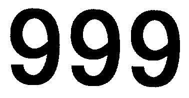 Mẫu nhãn hiệu 999