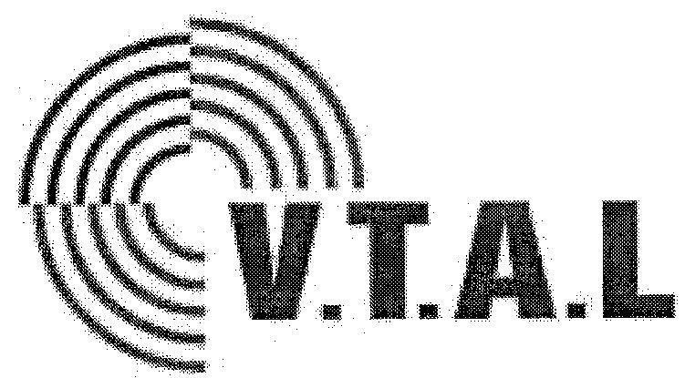Mẫu nhãn hiệu V.T.A.L