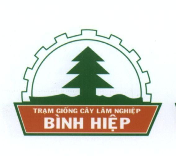 Mẫu nhãn hiệu Bình Hiệp Trạm giống cây lâm nghiệp