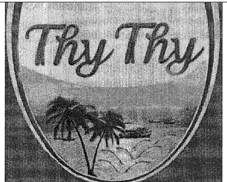 Mẫu nhãn hiệu THY THY