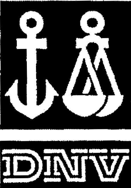 Mẫu nhãn hiệu DNV
