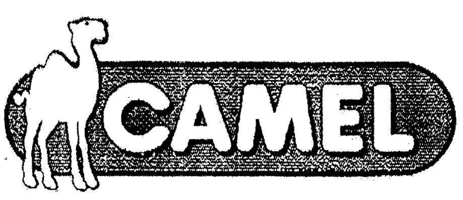 Mẫu nhãn hiệu CAMEL