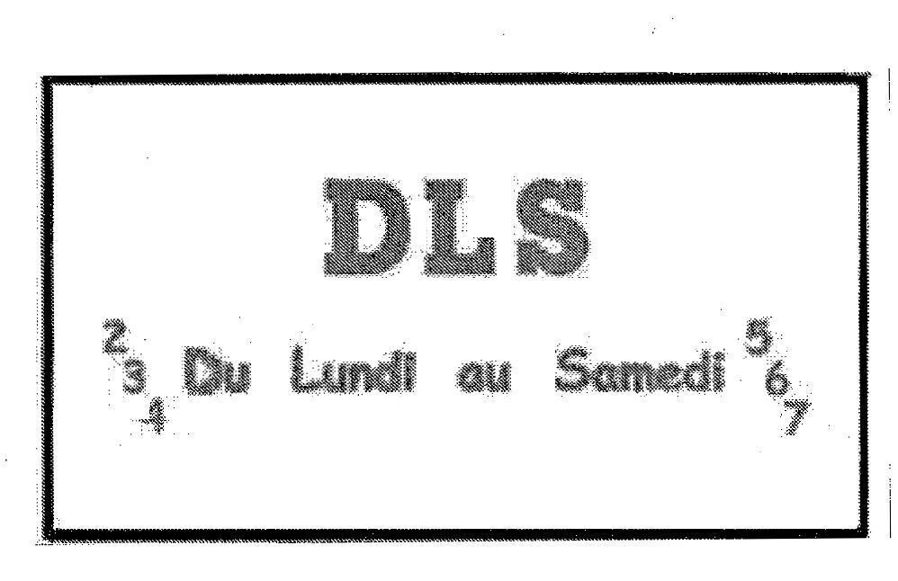 Mẫu nhãn hiệu DLS DU LUNDI AU SAMEDI 234 567