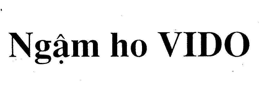 Mẫu nhãn hiệu VIDO NGậM HO