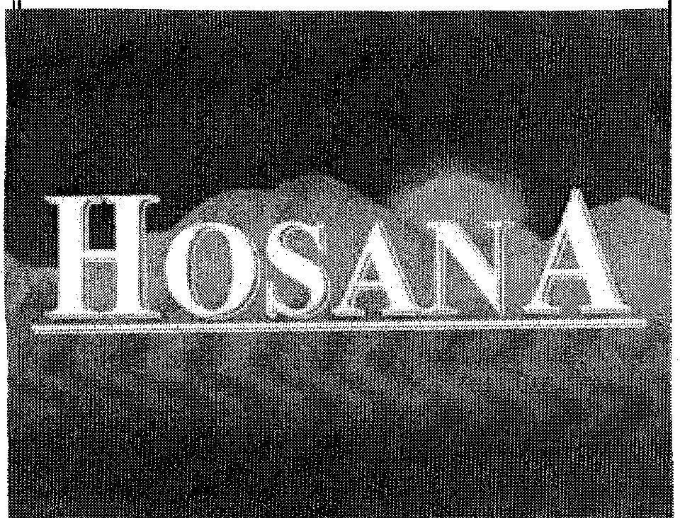 Mẫu nhãn hiệu HOSANA