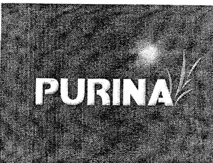 Mẫu nhãn hiệu PURINA