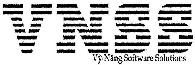 Mẫu nhãn hiệu VNSS Vỹ NĂNG SOFTWARE SOLUTIONS