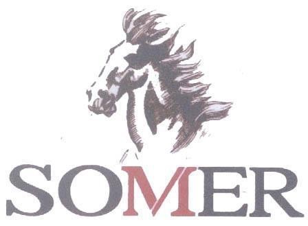 Mẫu nhãn hiệu SOMER