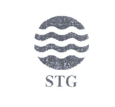 Mẫu nhãn hiệu STG