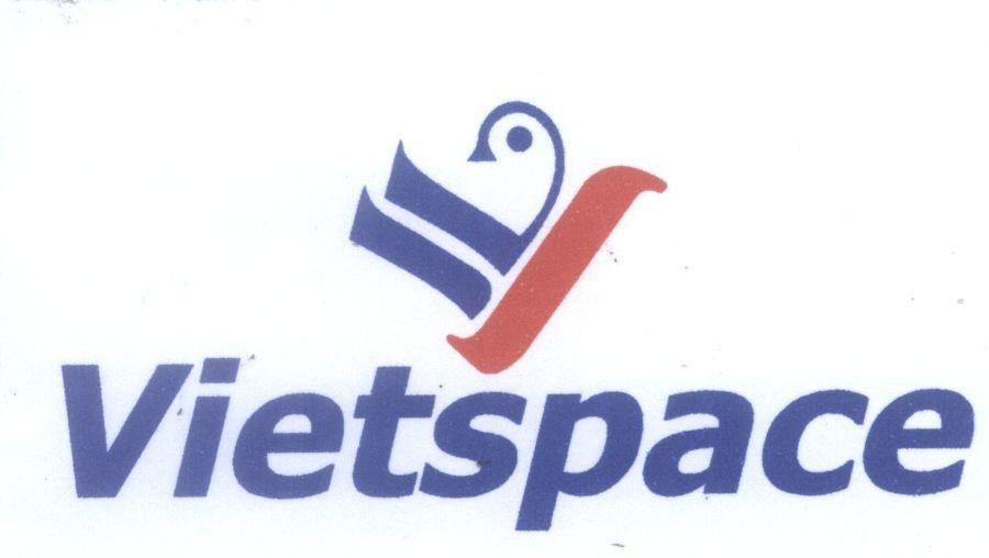 Mẫu nhãn hiệu V VIETSPACE