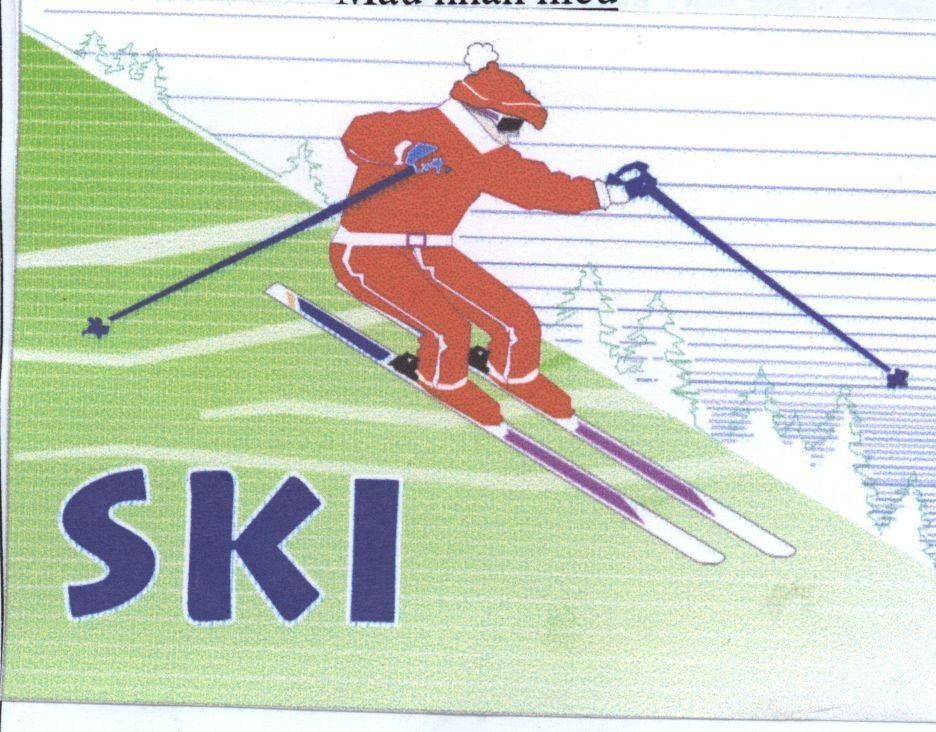 Mẫu nhãn hiệu SKI