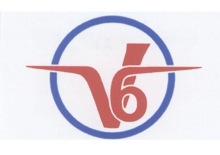 Mẫu nhãn hiệu V6