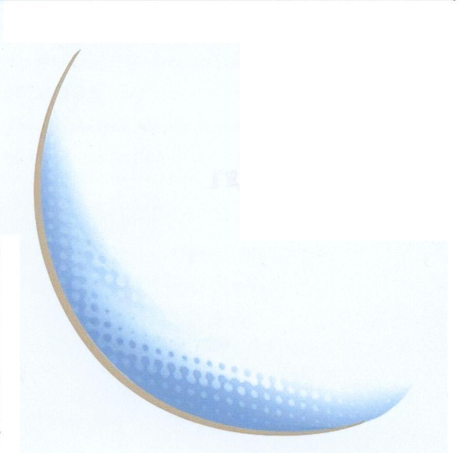 Mẫu nhãn hiệu Nhãn hiệu VN-4-2005-16045