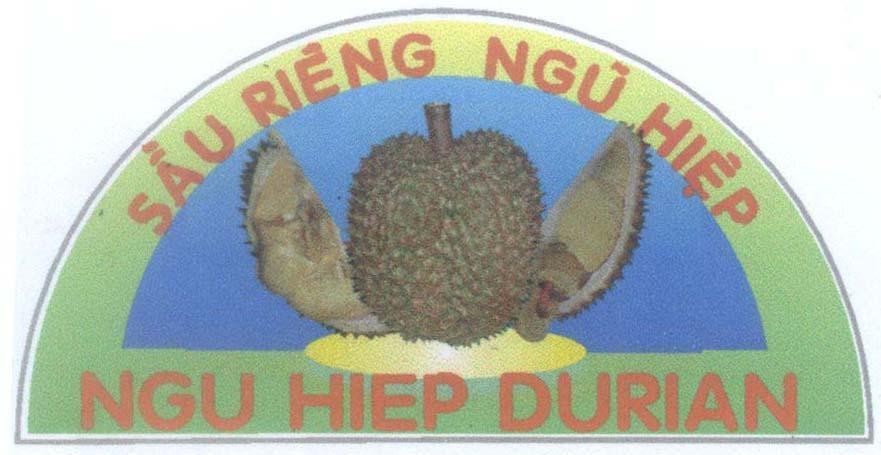 Mẫu nhãn hiệu Sầu Riêng Ngũ Hiệp NGU HIEP DURIAN
