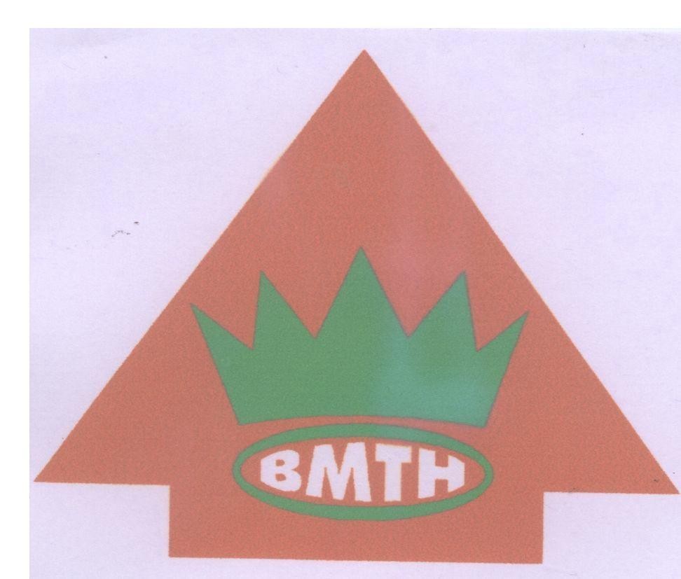 Mẫu nhãn hiệu BMTH
