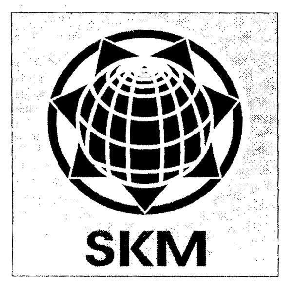 Mẫu nhãn hiệu SKM