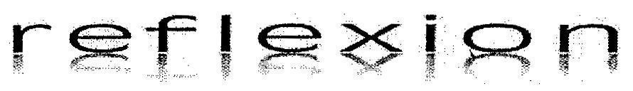 Mẫu nhãn hiệu reflexion
