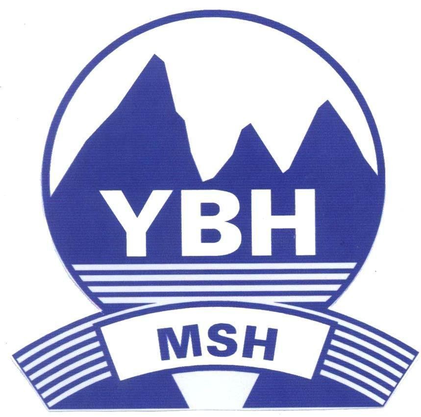 Mẫu nhãn hiệu YBH MSH