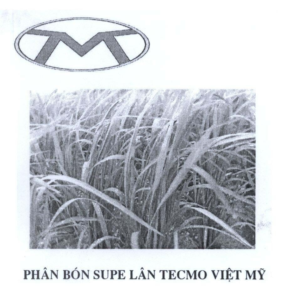 Mẫu nhãn hiệu M phân bón SUPE lân TECMO Việt Mỹ
