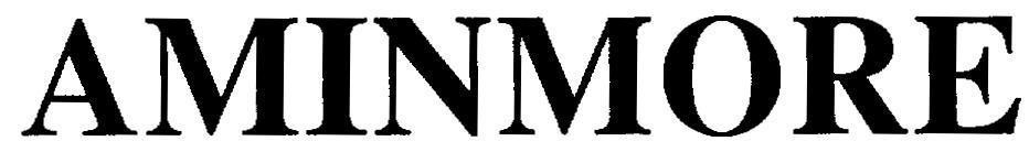 Mẫu nhãn hiệu AMINMORE