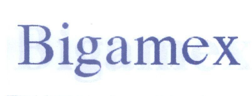 Mẫu nhãn hiệu Bigamex