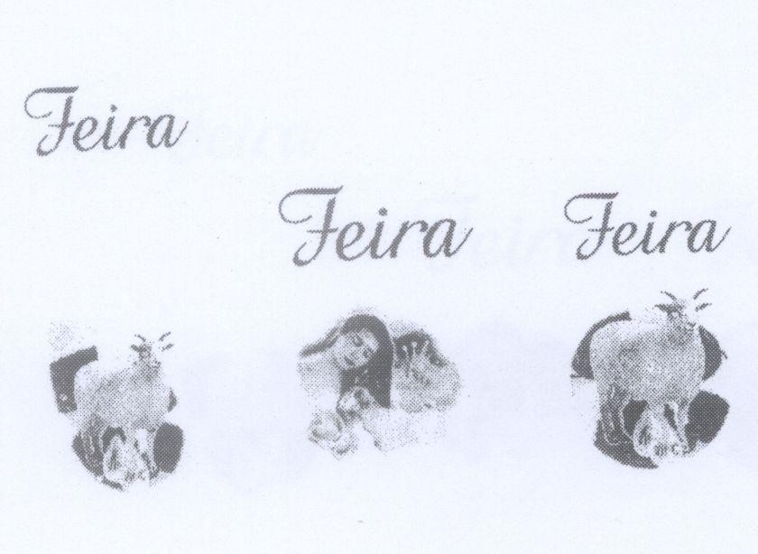 Mẫu nhãn hiệu Feira Feira Feira