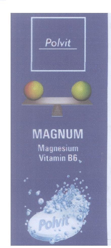 Mẫu nhãn hiệu Polvit MAGNUM Magnesium Vitamin B6