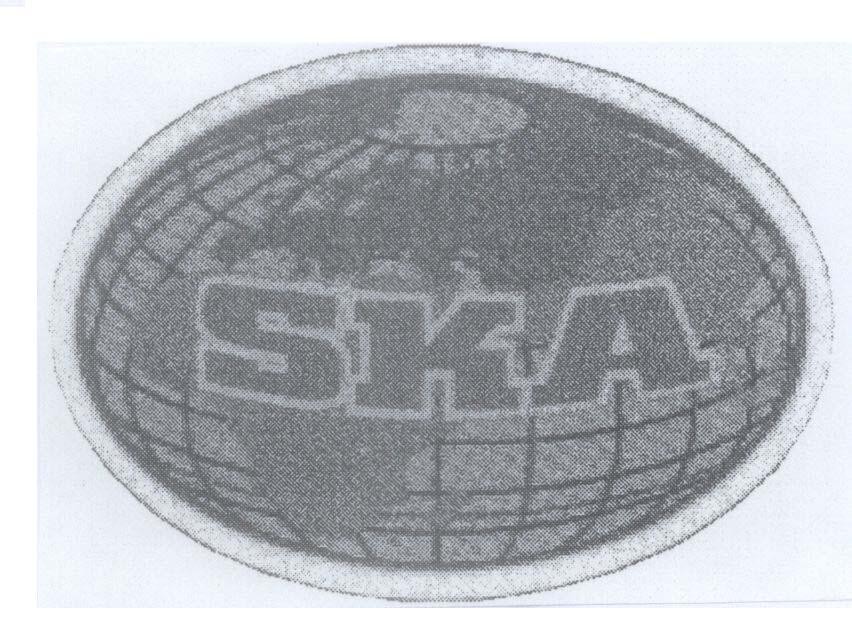 Mẫu nhãn hiệu SKA