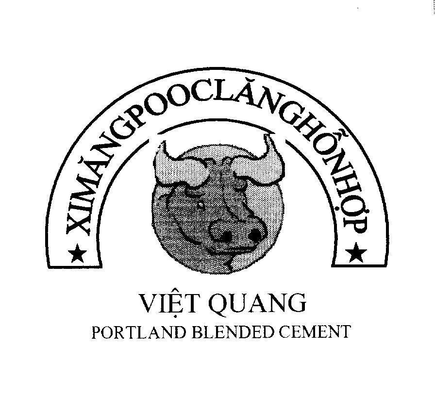 Mẫu nhãn hiệu Xi Măng PoocLăng Hỗn Hợp Việt Quang