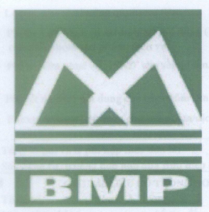 Mẫu nhãn hiệu M BMP