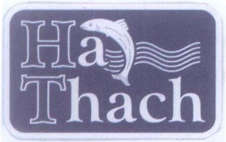 Mẫu nhãn hiệu Ha Thach
