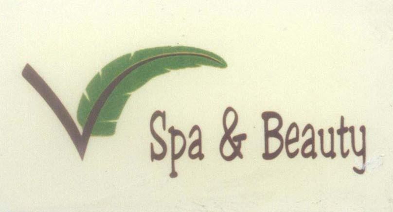 Mẫu nhãn hiệu V Spa & Beauty