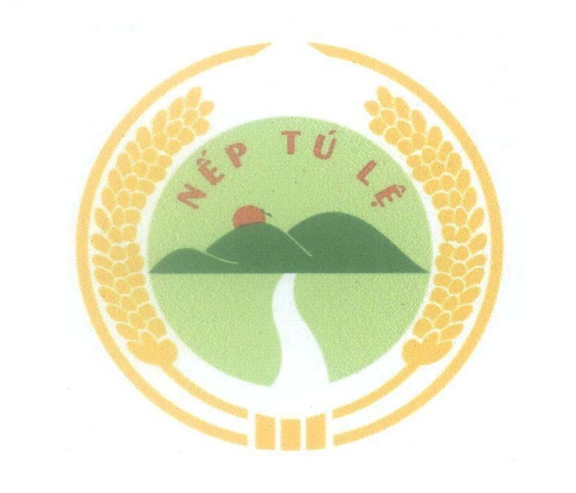Mẫu nhãn hiệu Nếp Tú Lệ