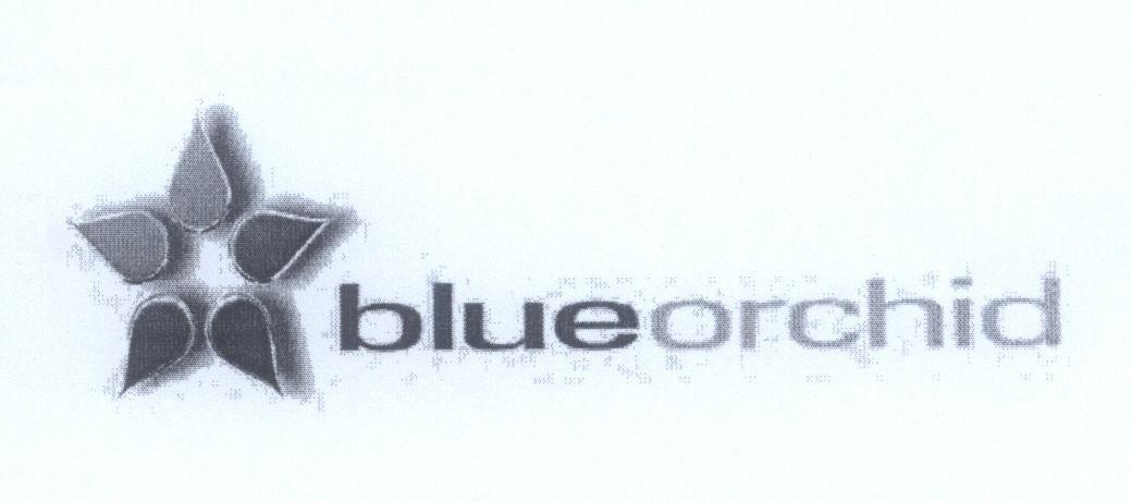 Mẫu nhãn hiệu blueorchid