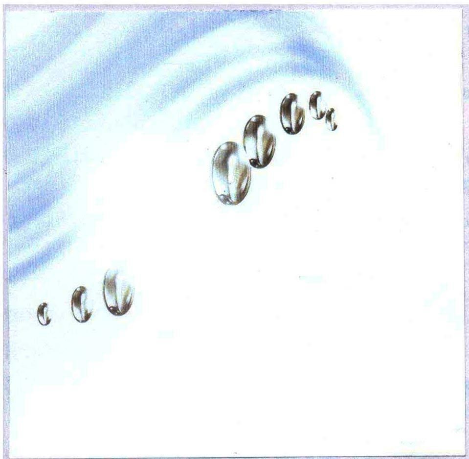 Mẫu nhãn hiệu Nhãn hiệu VN-4-2006-20399