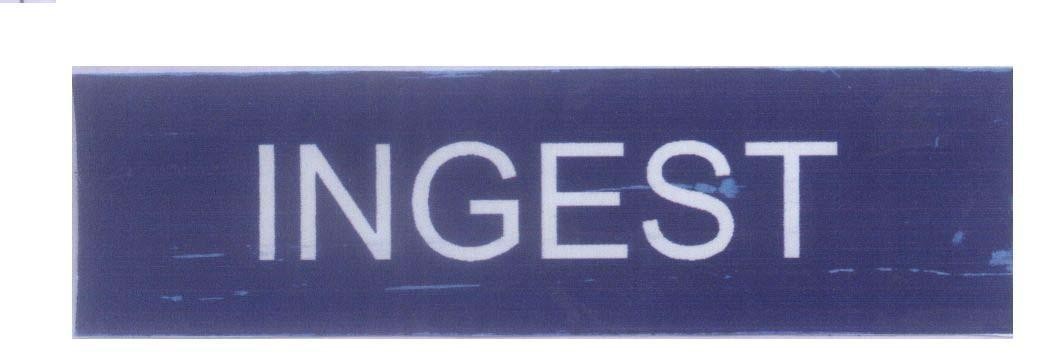 Mẫu nhãn hiệu INGEST
