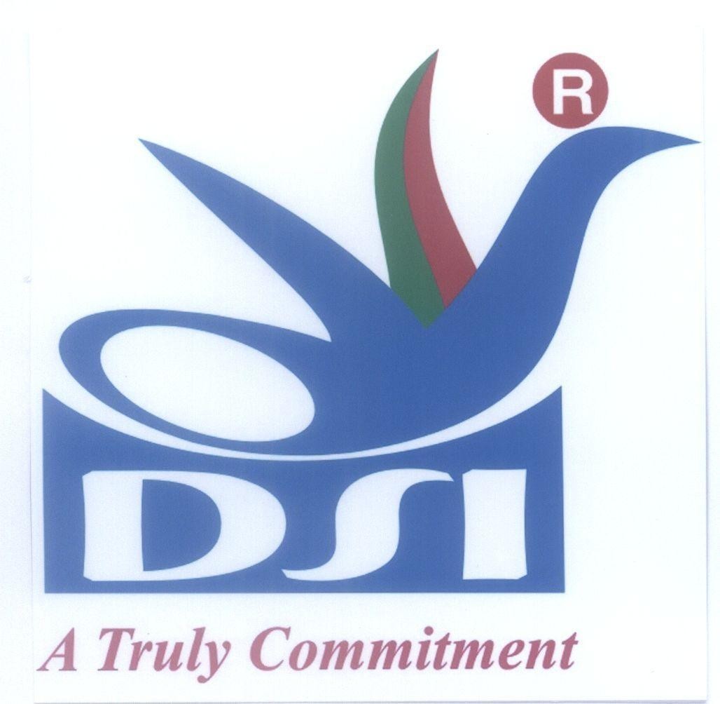 Mẫu nhãn hiệu DSI A truly Commitment