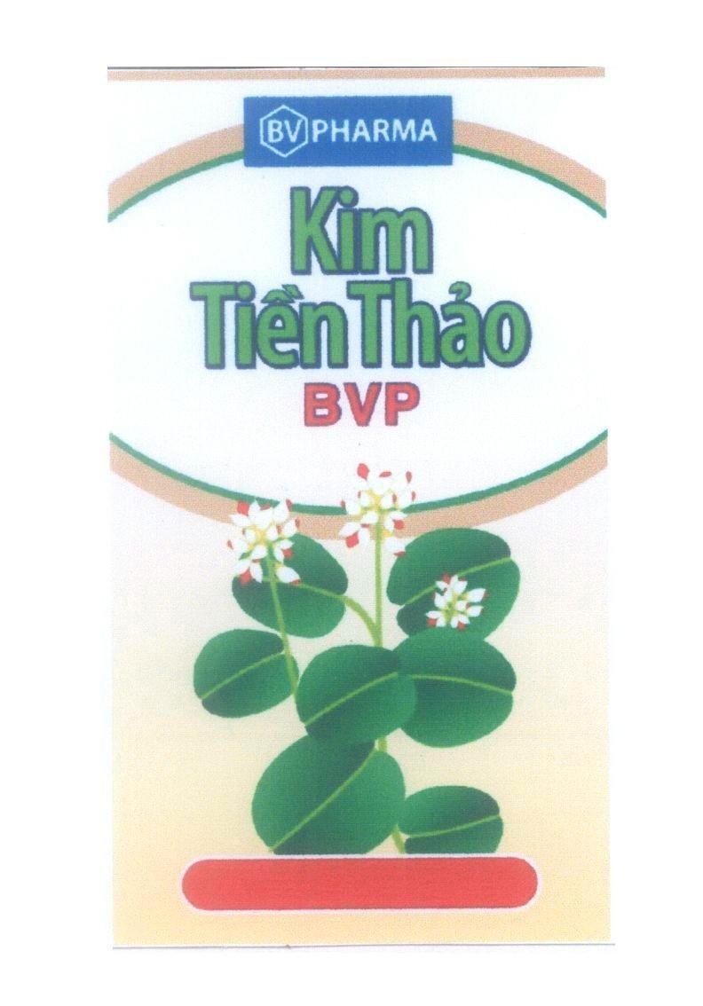Mẫu nhãn hiệu BV PHARMA Kim Tiền Thảo BVP
