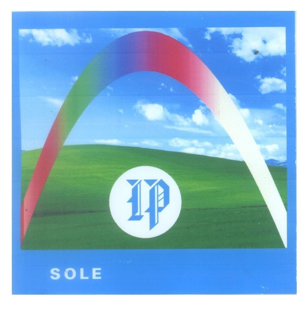 Mẫu nhãn hiệu IP SOLE