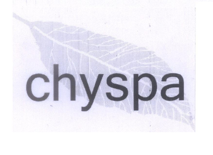 Mẫu nhãn hiệu chyspa