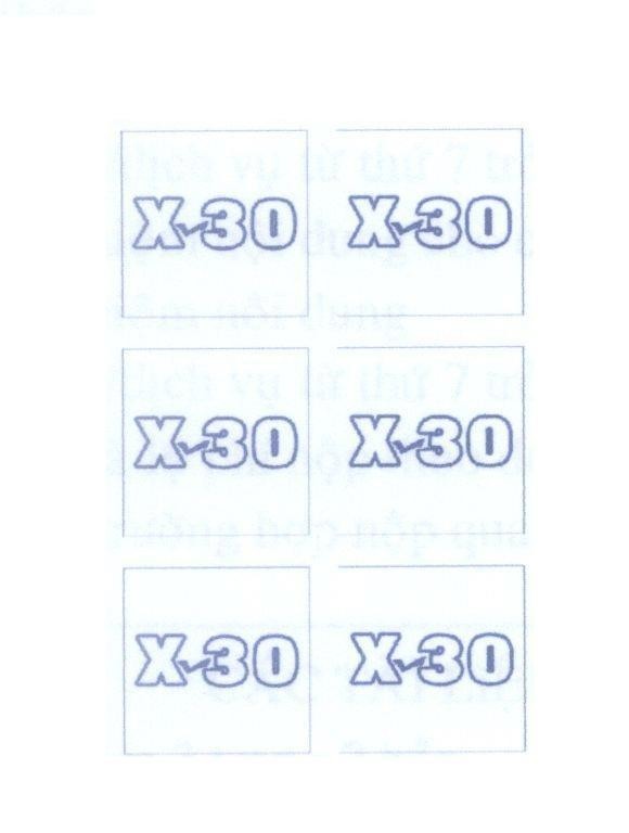 Mẫu nhãn hiệu X 30