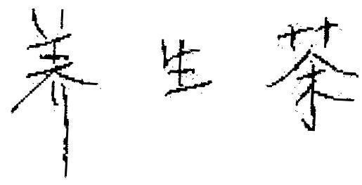 Mẫu nhãn hiệu [Yang Sheng Cha: trà nuôi dưỡng cơ thể]