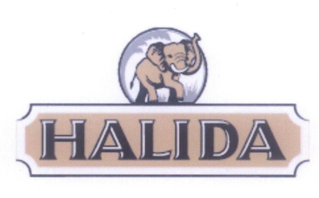 Mẫu nhãn hiệu HALIDA