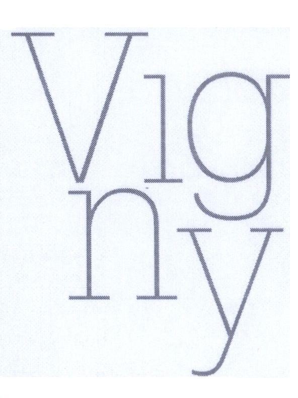 Mẫu nhãn hiệu Vig ny