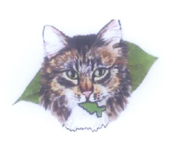Mẫu nhãn hiệu Nhãn hiệu VN-4-2007-07629