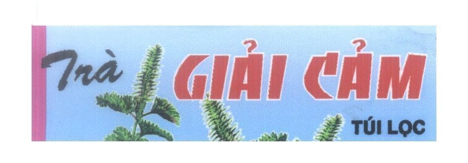 Mẫu nhãn hiệu Trà Giải Cảm Túi Lọc