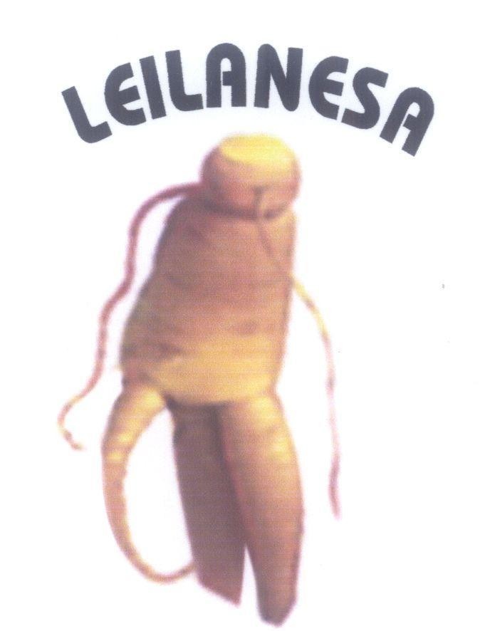 Mẫu nhãn hiệu LEILANESA